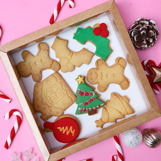 Christmas Cookie Decorating Kit