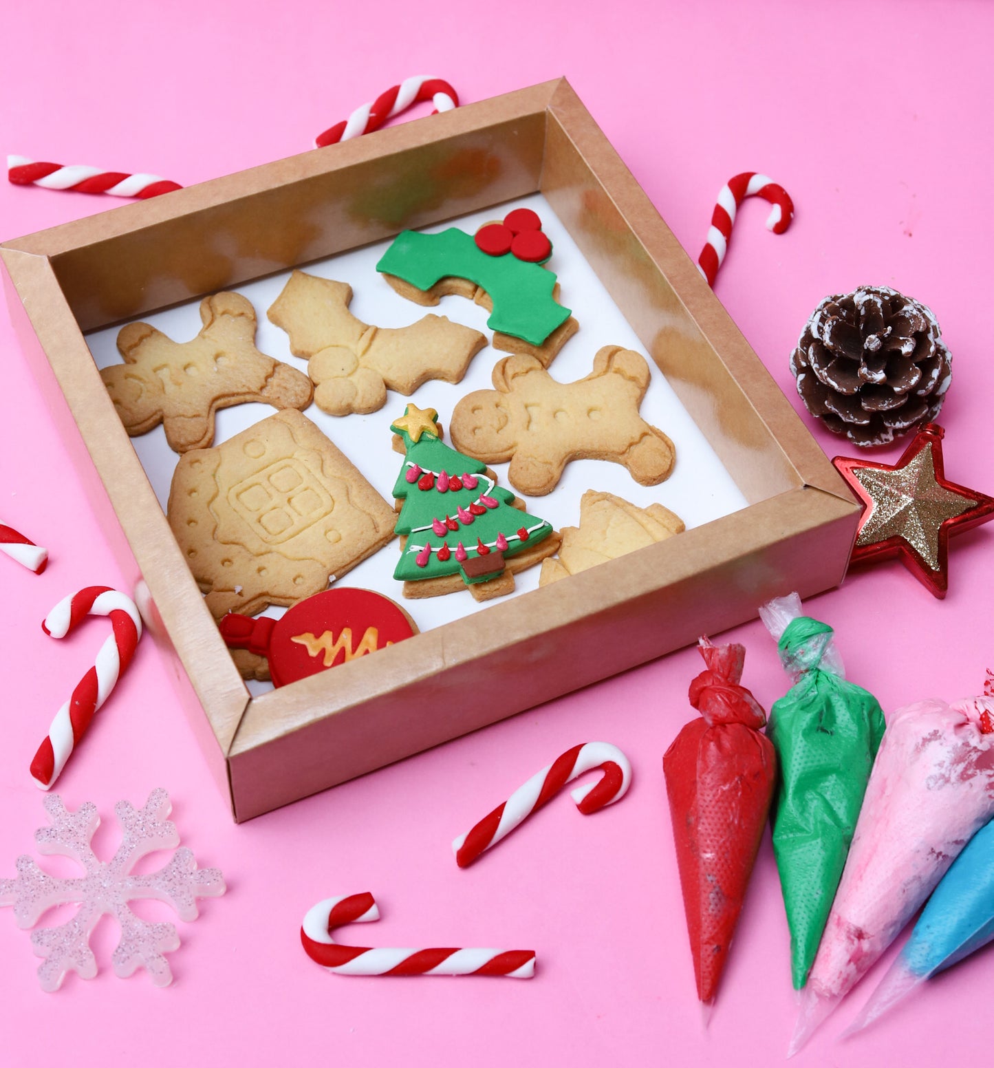Christmas Cookie Decorating Kit