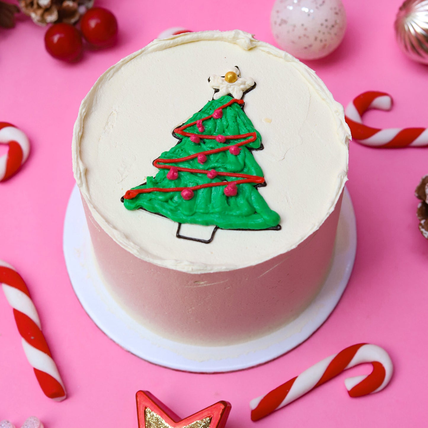 Christmas Tree Bento Kit!