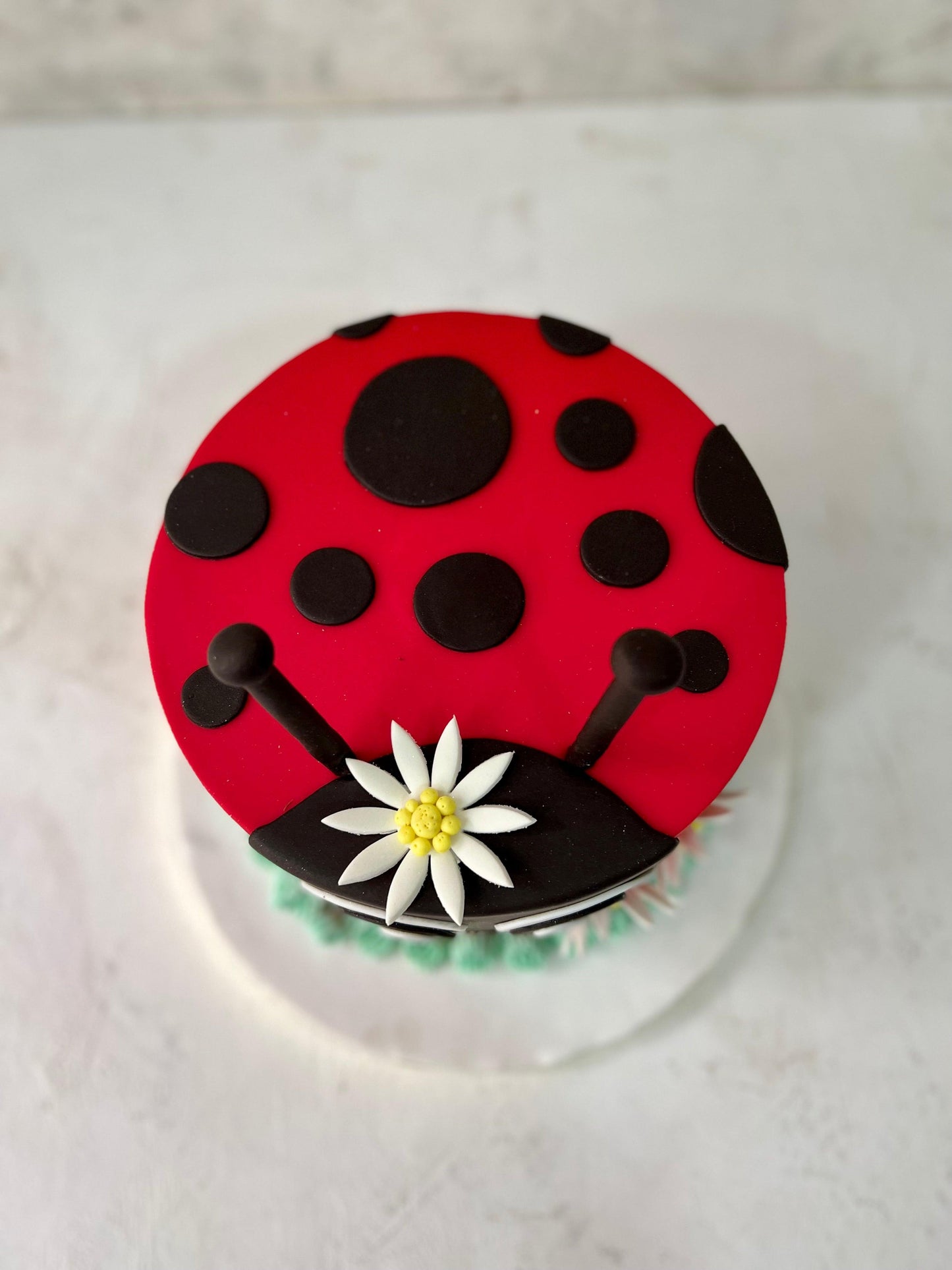 Lady Bug Cake - Nino’s Bakery