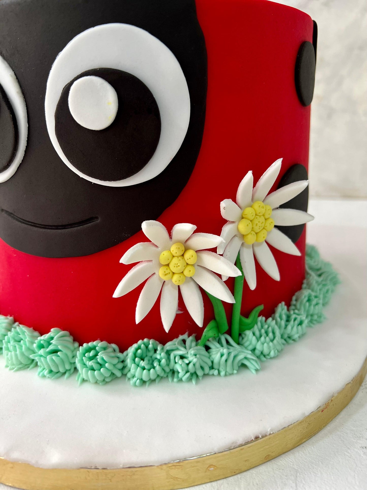 Lady Bug Cake - Nino’s Bakery