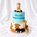 Cowboy Cutie Cake