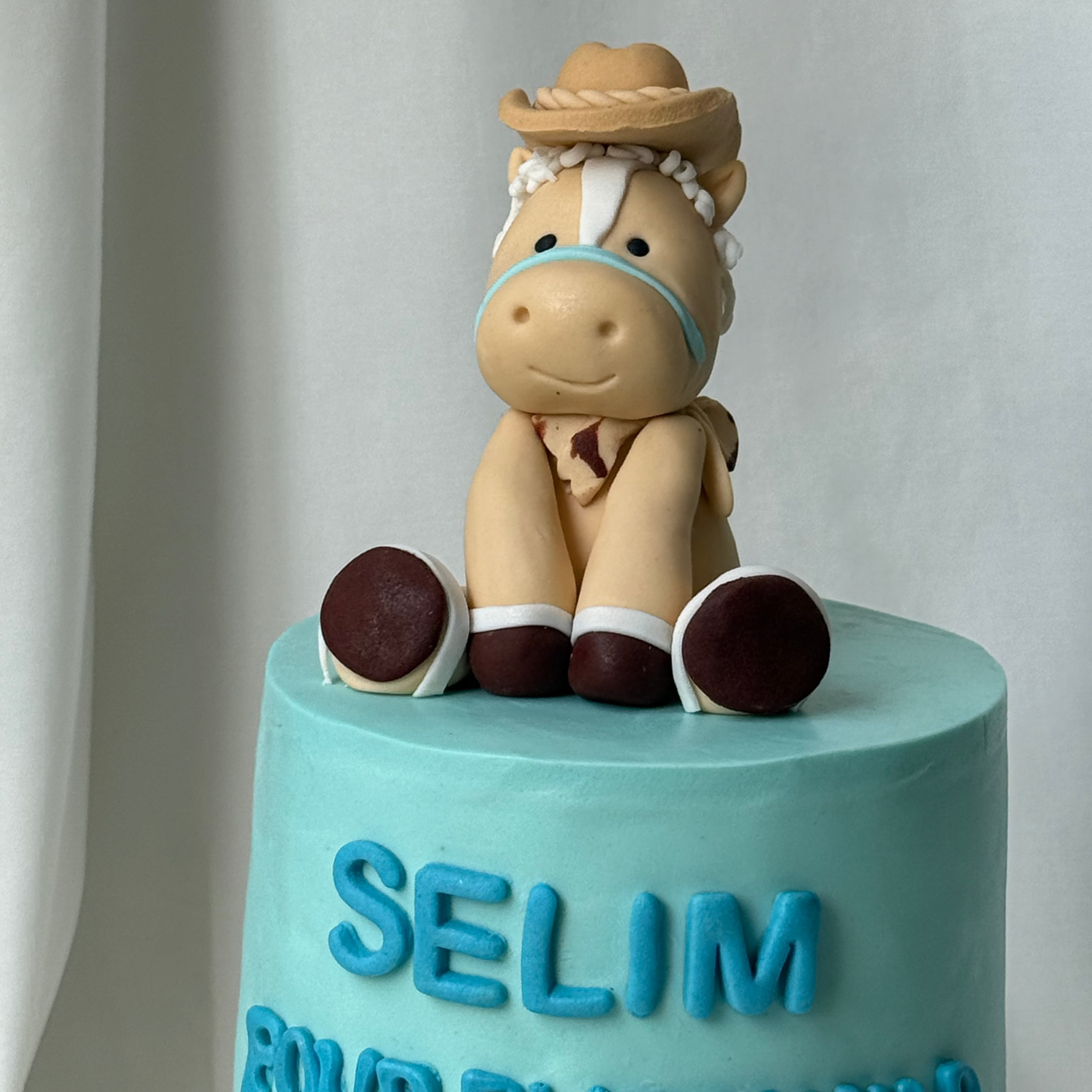 Cowboy Cutie Cake