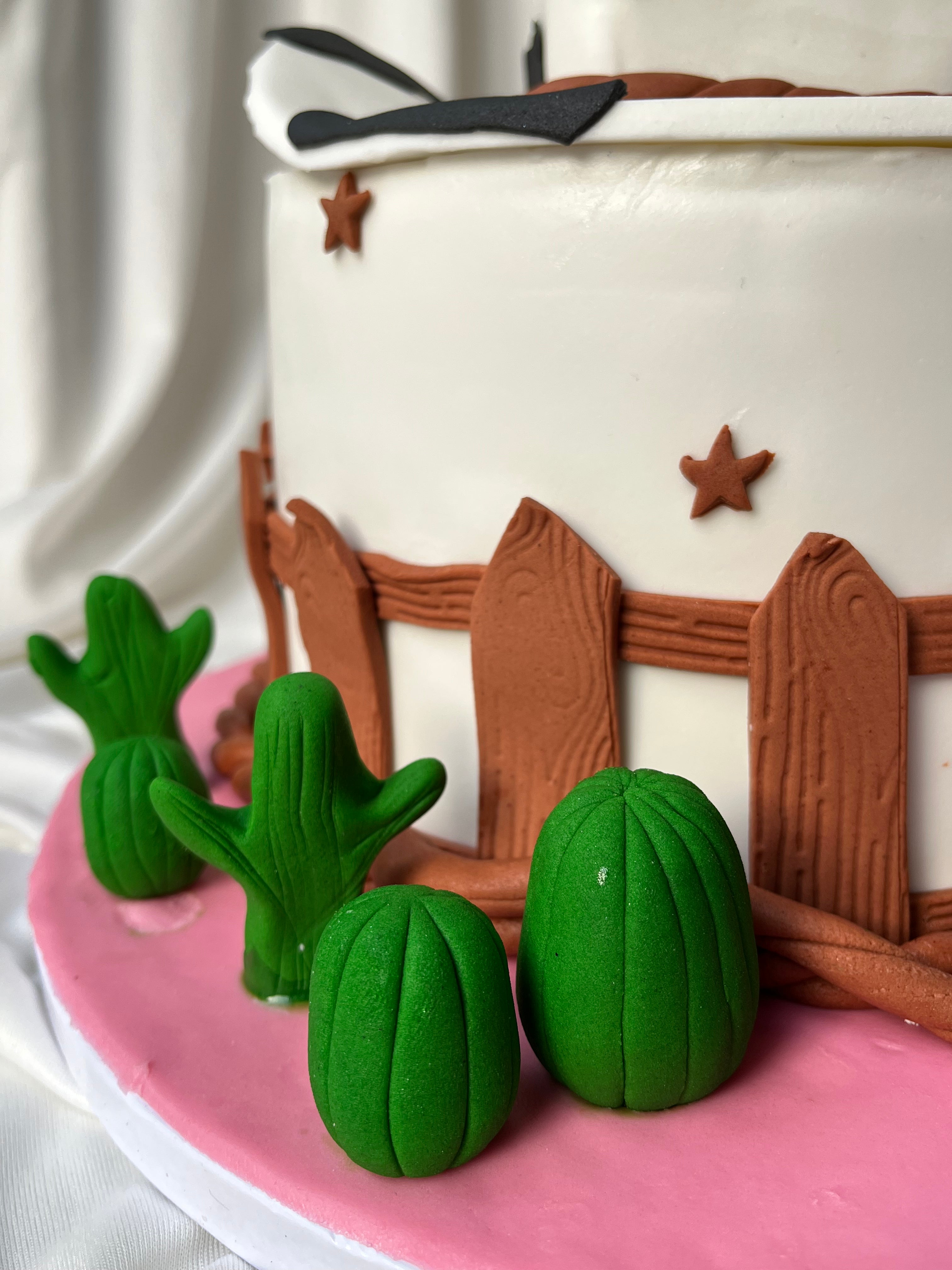 Howdy Birthday Cake