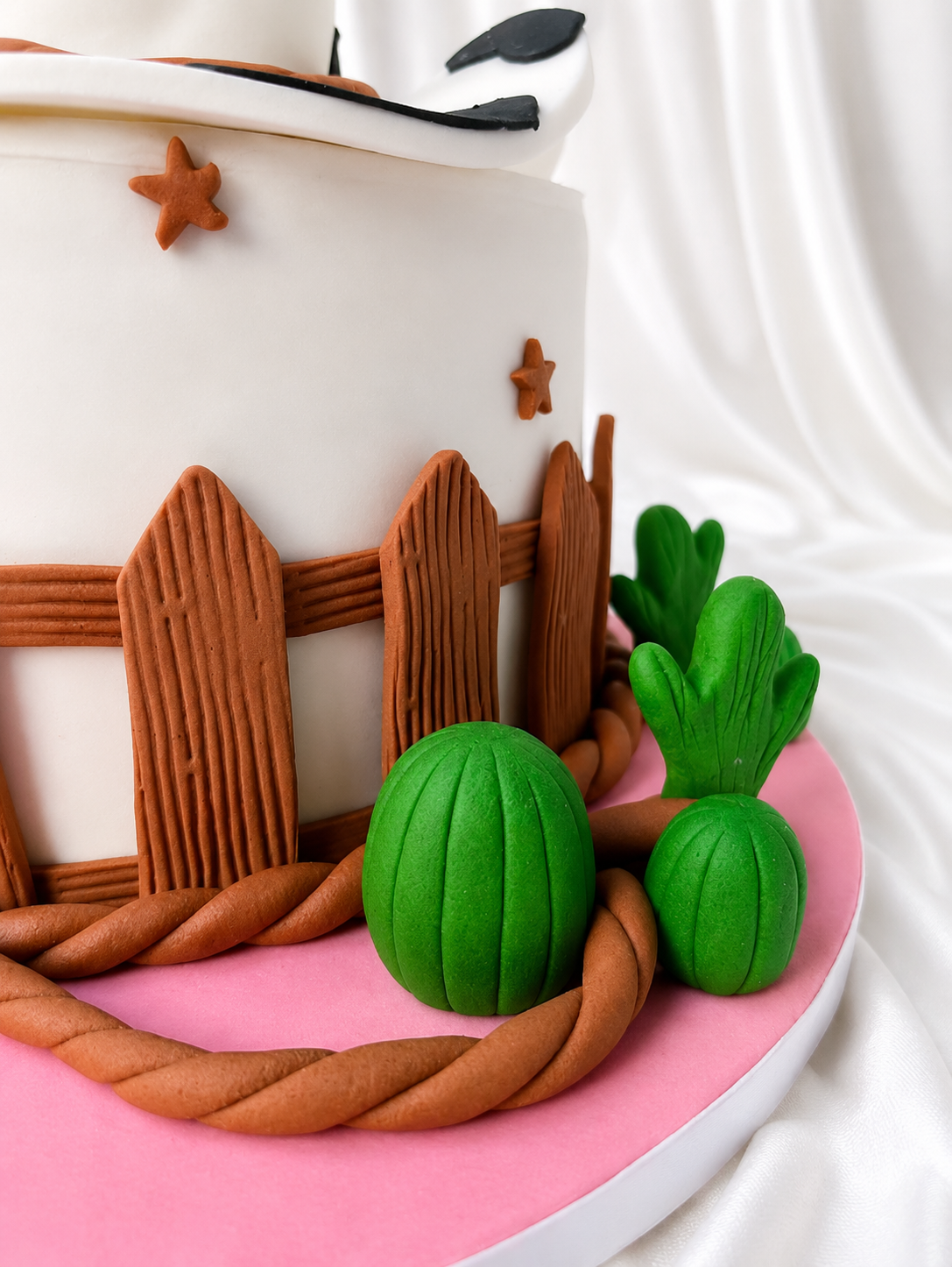 Howdy Birthday Cake