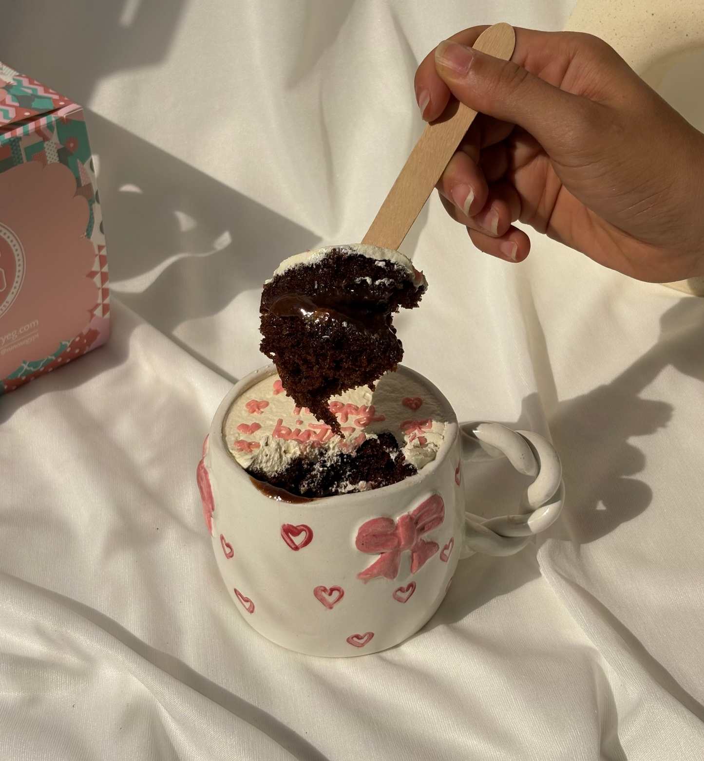 Birthday Coquette Mug Cake