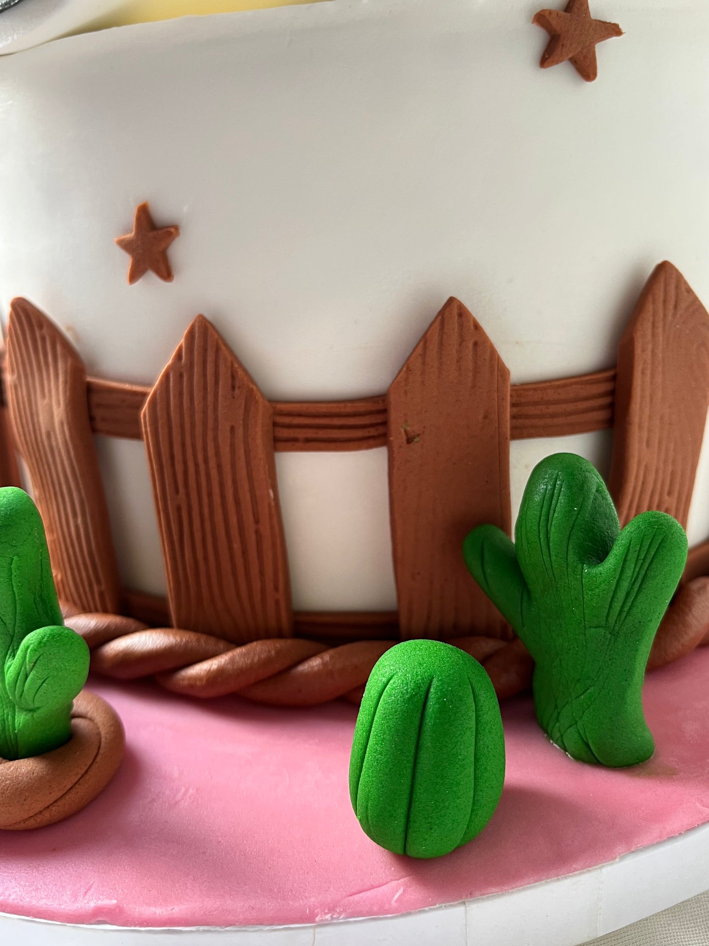 Howdy Birthday Cake