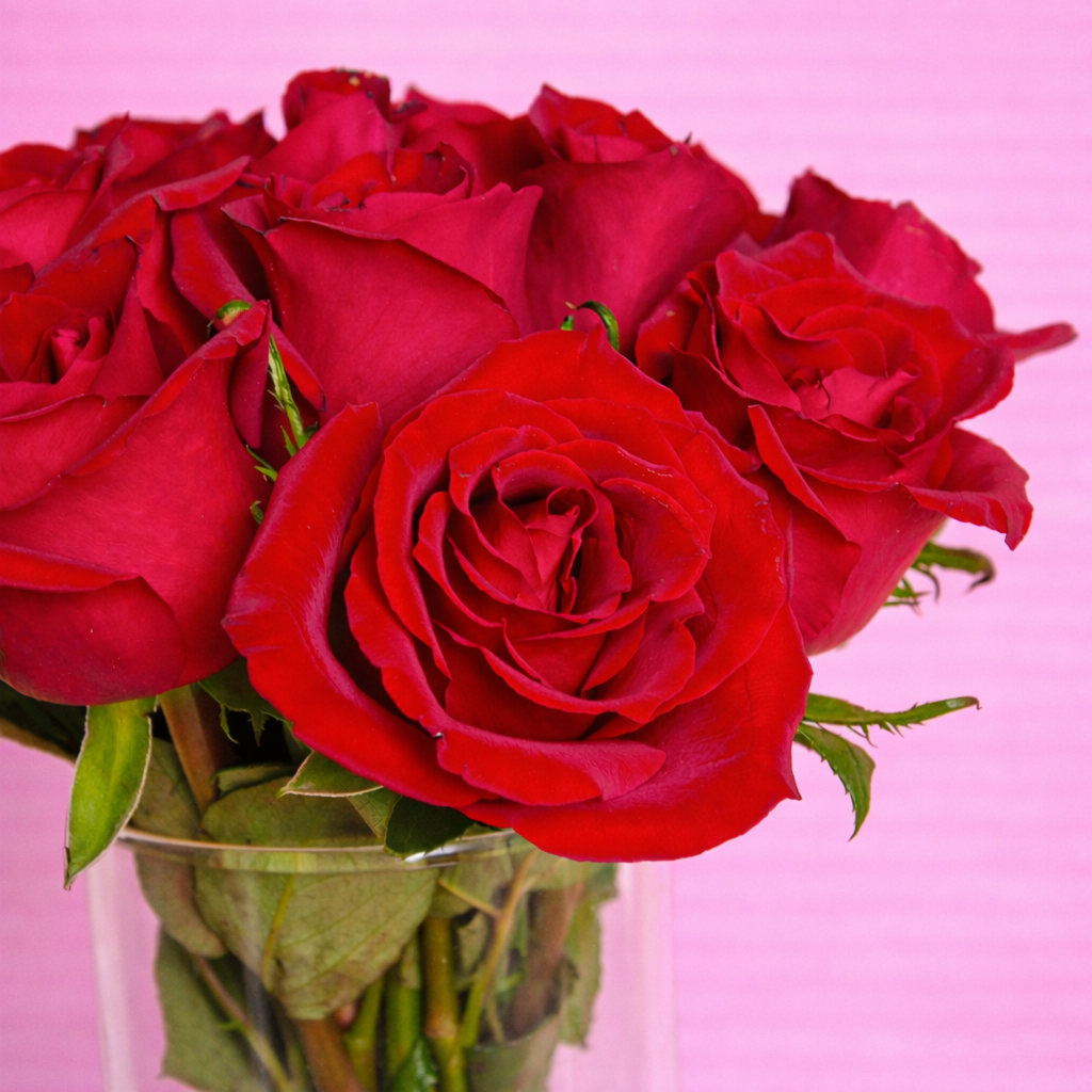Rose Embrace Vase