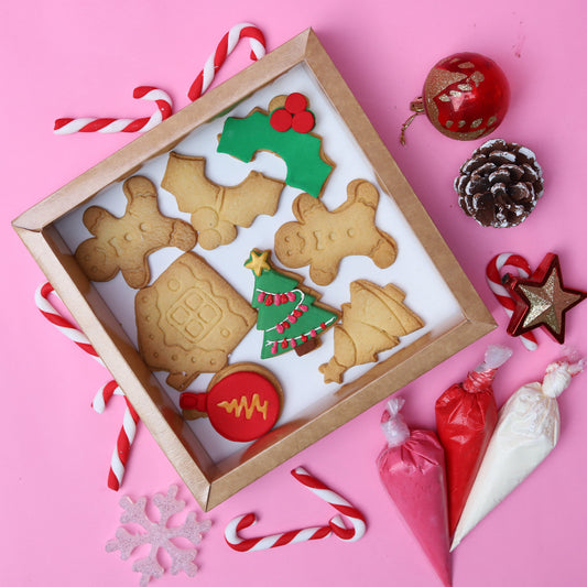 Christmas Cookie Decorating Kit