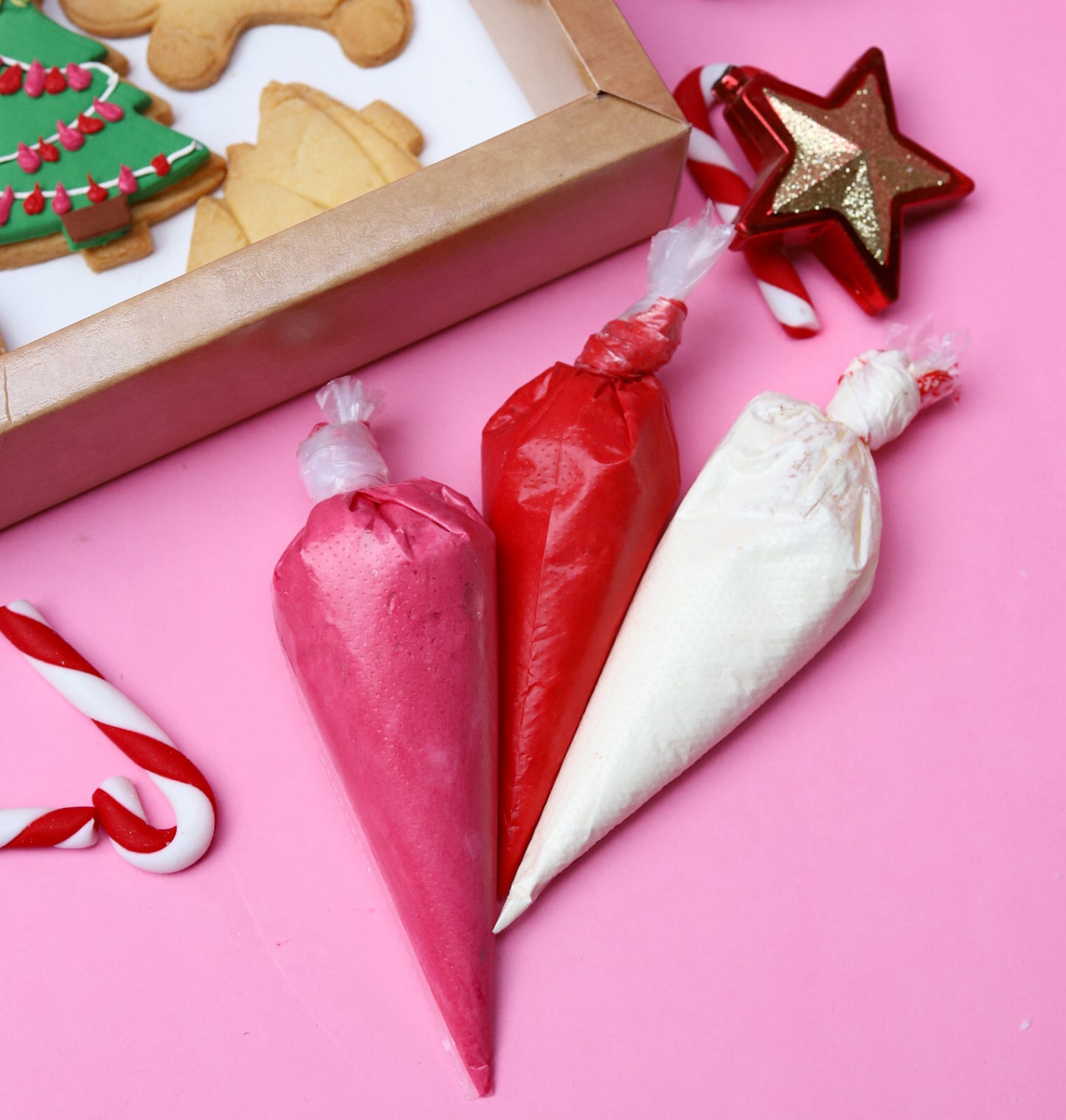 Christmas Cookie Decorating Kit