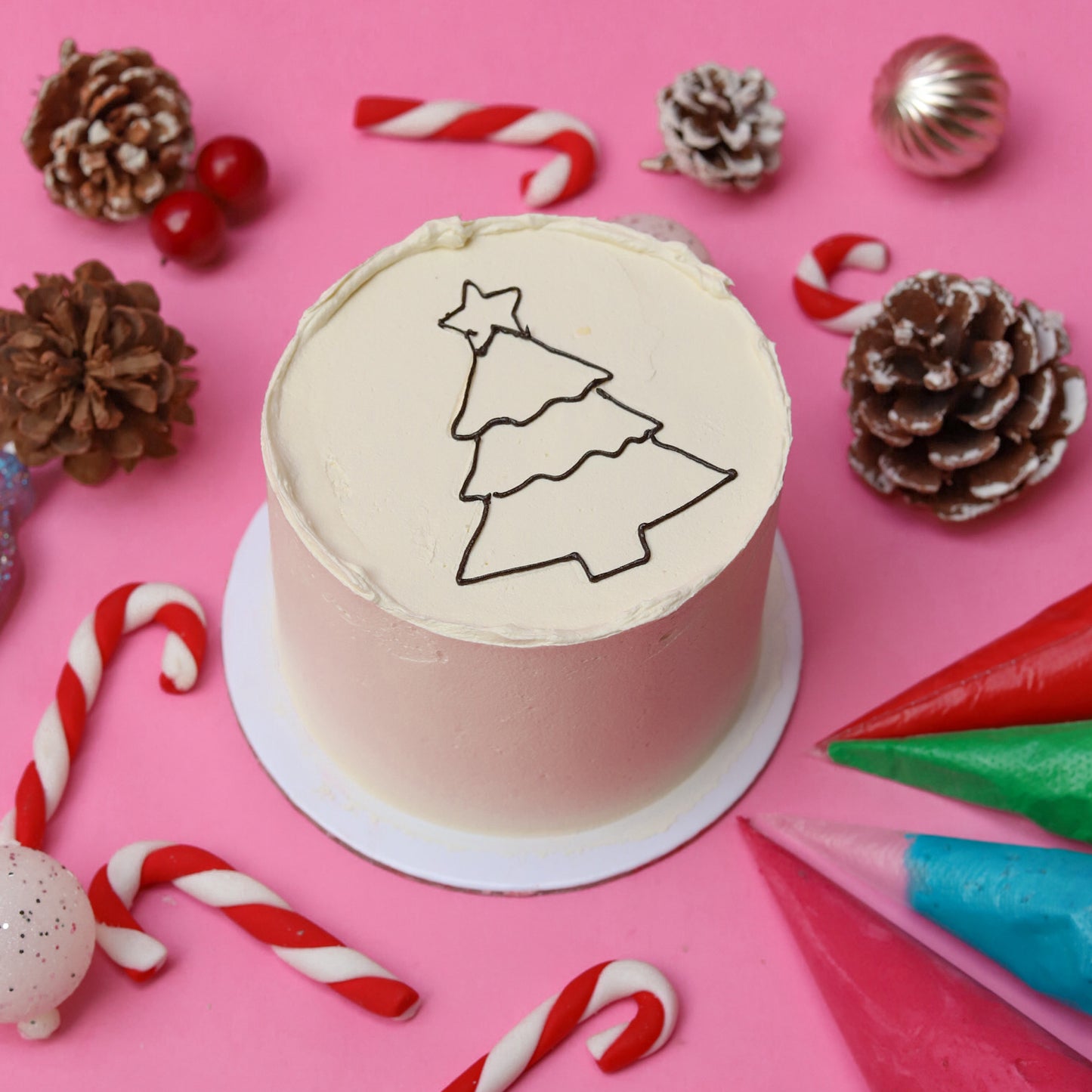 Christmas Tree Bento Kit!