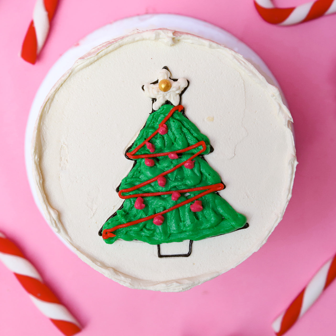 Christmas Tree Bento Kit!