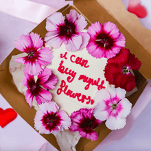 Load image into Gallery viewer, MILEY CYRUS Collection! - Nino’s Bakery